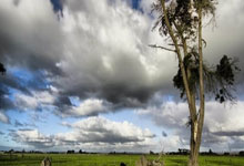 开云体育：2025九江马拉松开跑 2万名中外跑者竞速庐山脚下.